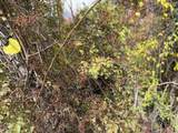 0 Sunset Hill Road - Photo 5