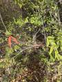 0 Sunset Hill Road - Photo 8
