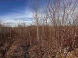 TBD Mcintyre Road - Photo 17