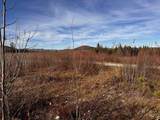 TBD Mcintyre Road - Photo 5
