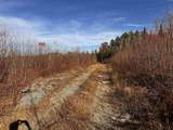 TBD Mcintyre Road - Photo 6