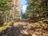 0 Binks Hill Road - Photo 11