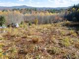 0 Binks Hill Road - Photo 4