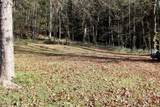 1066 Country Club Road - Photo 16