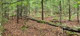 00 Heartwellville View Road - Photo 2