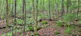 00 Heartwellville View Road - Photo 3