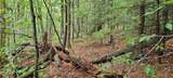 00 Heartwellville View Road - Photo 4