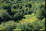 00 Robinson Springs Road - Photo 10