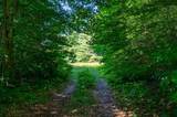 00 Robinson Springs Road - Photo 11