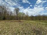00 Robinson Springs Road - Photo 18