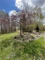 00 Robinson Springs Road - Photo 25
