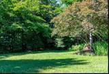 00 Robinson Springs Road - Photo 4