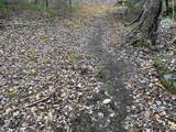 0 Pound Road - Photo 42