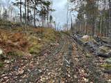 0 Pound Road - Photo 45