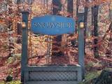 87 Snowside Drive - Photo 28