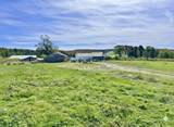 523 Trucott Road - Photo 4