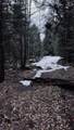 0 Shadow Lake Road - Photo 33