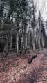 0 Shadow Lake Road - Photo 36