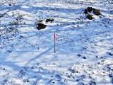 Lot 3 Guptil Road - Photo 27