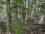 0 Fall Brook Road - Photo 34