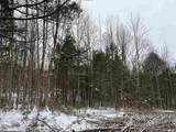 0 Fall Brook Road - Photo 4