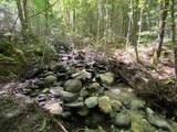 0 Fall Brook Road - Photo 42
