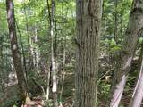 0 Fall Brook Road - Photo 46