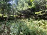 0 Fall Brook Road - Photo 50