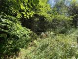 0 Fall Brook Road - Photo 51