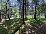 0 Fall Brook Road - Photo 52