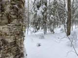 0 Fall Brook Road - Photo 6