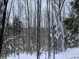 0 Fall Brook Road - Photo 9