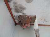 56 Danyow Drive - Photo 26