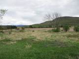56 Danyow Drive - Photo 3