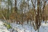 0 Green Mountain Highway - Photo 14