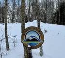 Lot 4 -156 High Peak Way - Photo 18