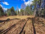 40 Bear Paw Trail - Photo 12