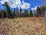 40 Bear Paw Trail - Photo 14