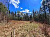 40 Bear Paw Trail - Photo 15