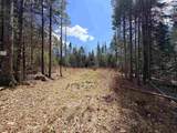 40 Bear Paw Trail - Photo 17
