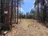 40 Bear Paw Trail - Photo 18