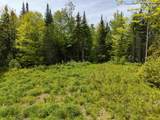 40 Bear Paw Trail - Photo 19