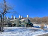 233 Okemo Trailside Extension - Photo 47