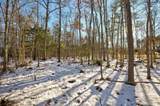 00 Moultonboro Neck Road - Photo 37
