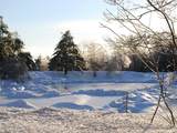 516 Steele Hill Road - Photo 1