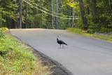 000 Page Hill Road - Photo 14