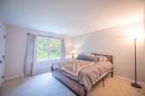 28 Lightning Ledge Way - Photo 6