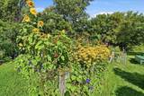 6133 The Terraces - Photo 49