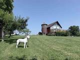 2139 Bronson Road - Photo 1