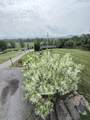 2139 Bronson Road - Photo 56